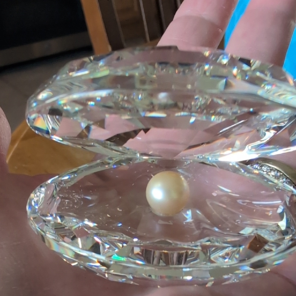 Swarovski Crystal Clam Shell with Pearl Accent - Clear - Picture 3 of 3